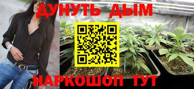 спиды Кимры