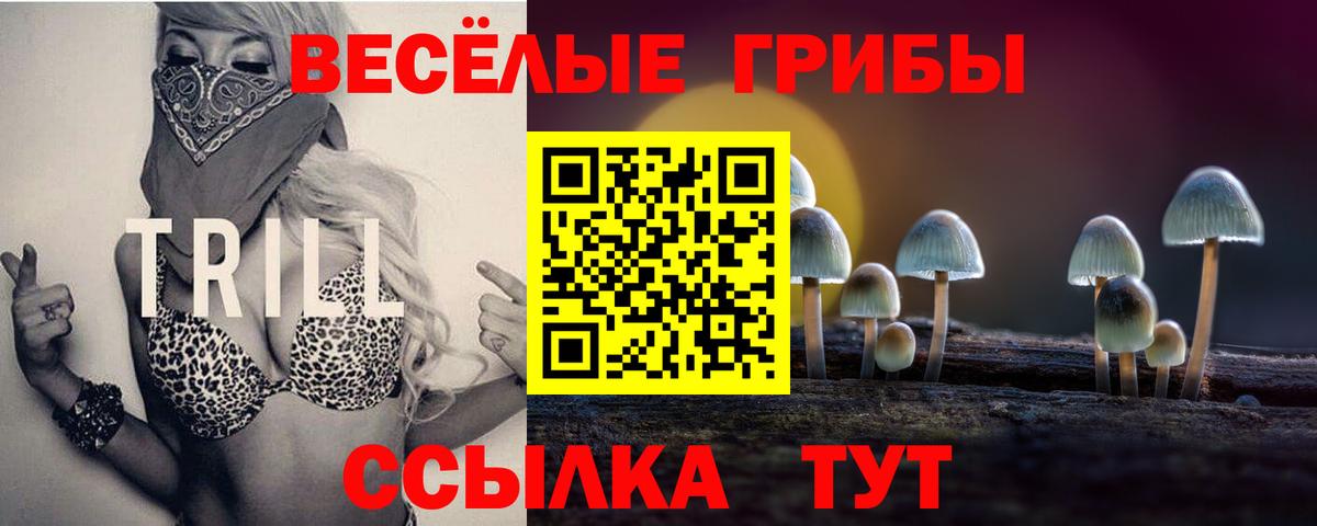 Галлюциногенные грибы Cubensis  Вход с VPN  даркнет сайт  Карабулак  Псилоцибиновые грибы мицелий 