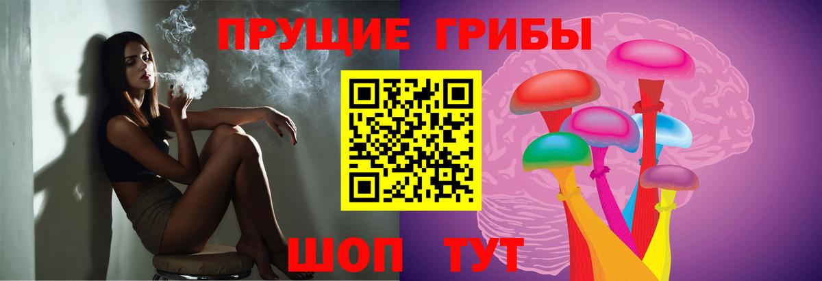 Псилоцибиновые грибы ЛСД Карабулак